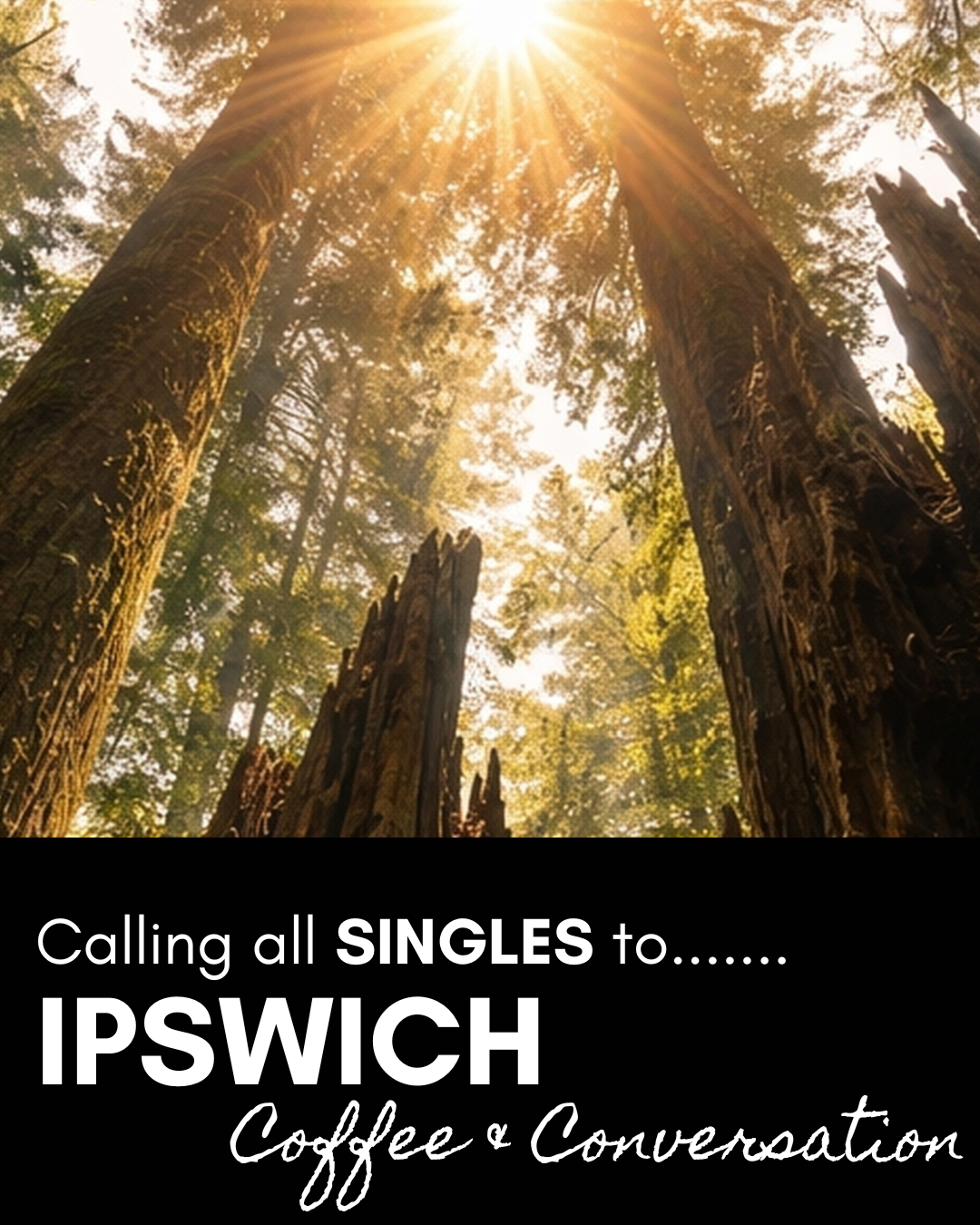 Felixstowe Coffee &amp; Conversation, Abbey Grove Woodland, 26th April 10.30am