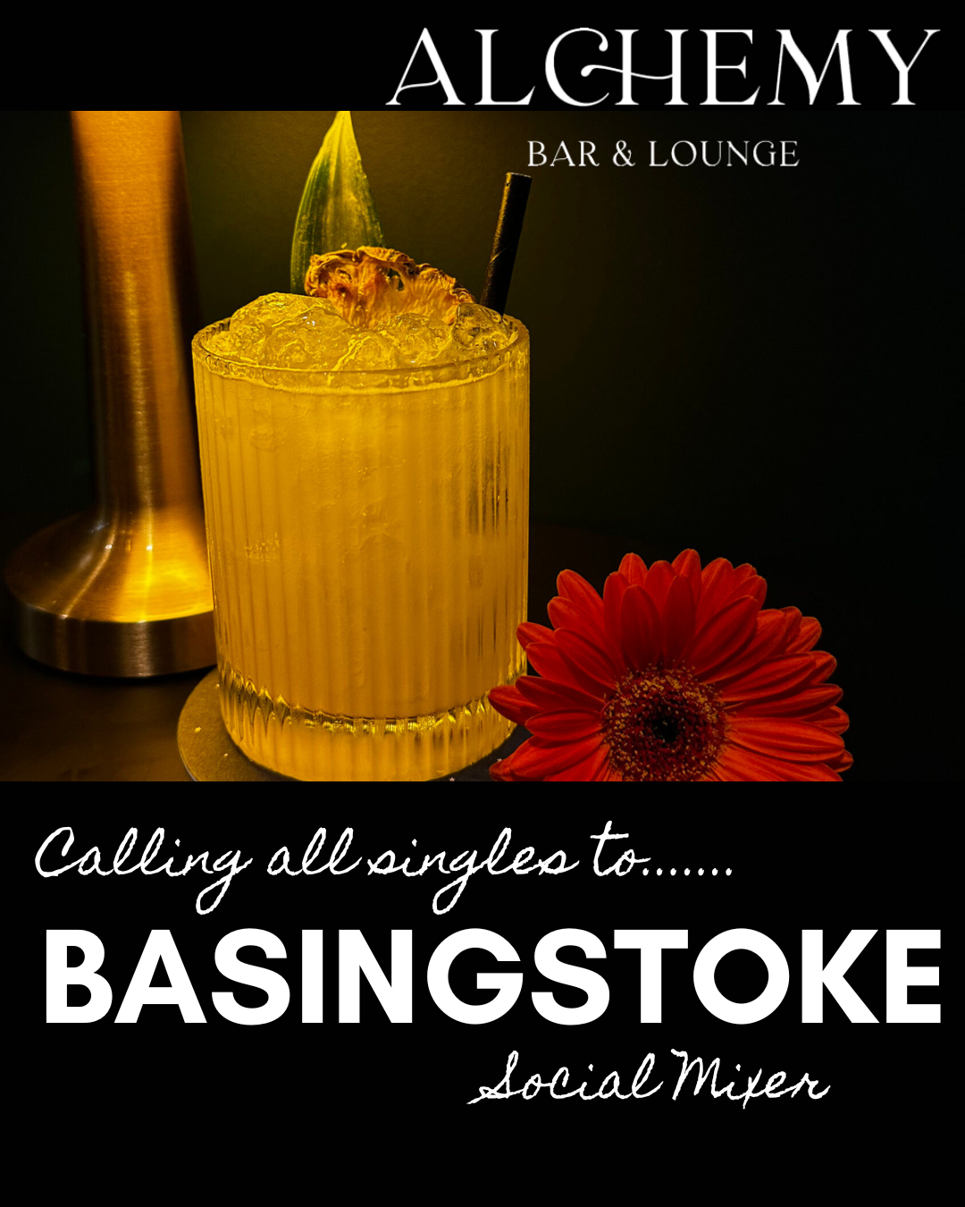 Basingstoke Singles Social Mixer at Alchemy Bar 26th March 7.30pm