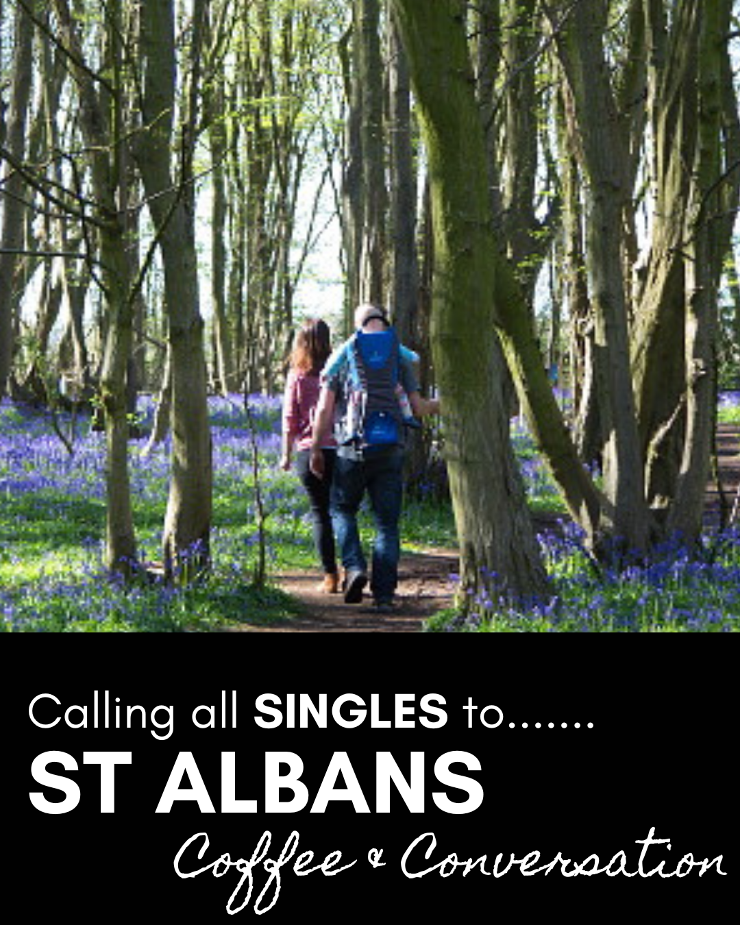 St Albans, Heartwood Forest Singles Walk, 18th April, 10.30am - Dogs welcome.