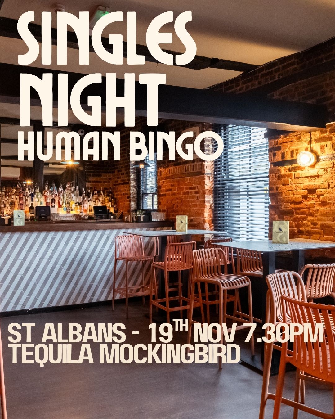 Singles Human Bingo - St Albans, Tequila Mockingbird, 19th Nov 19.30. Over 30s.